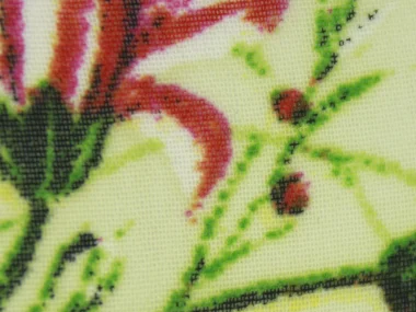 PTD S. Chiffon 147cm beauty close up