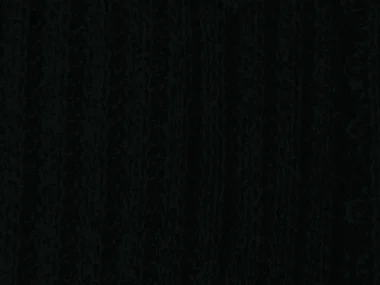 TR Spandex Rib - Black